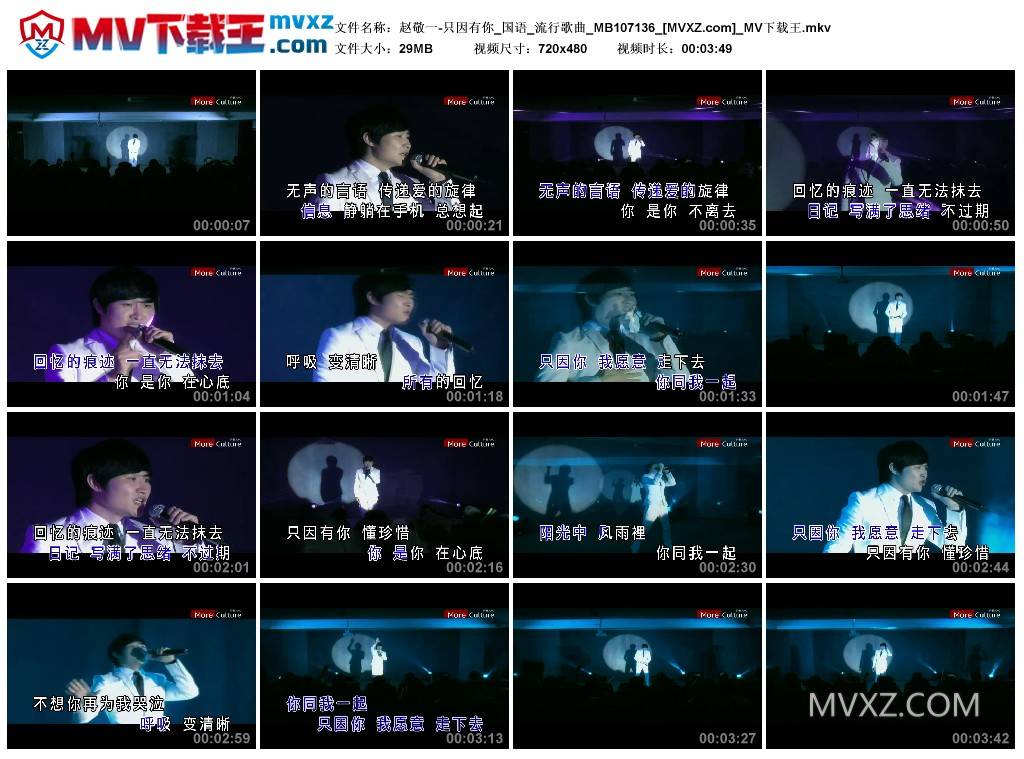 赵敬一-只因有你_国语_流行歌曲_MB107136